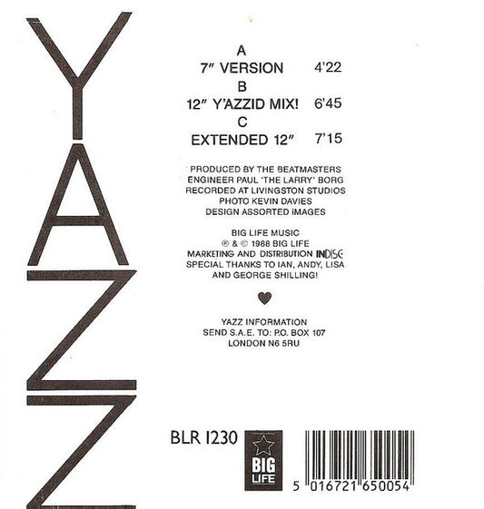 Yazz : Stand Up For Your Love Rights (CD, Maxi, Car)