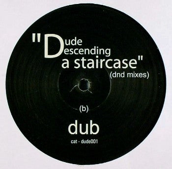 Apollo 440 : Dude Descending A Staircase (dnd Mixes) (12")