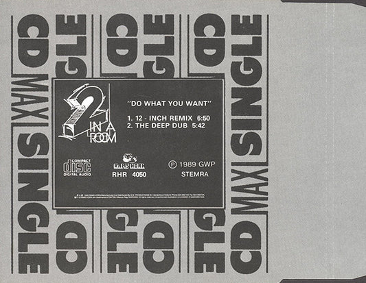 2 In A Room : Do What You Want (CD, Maxi)