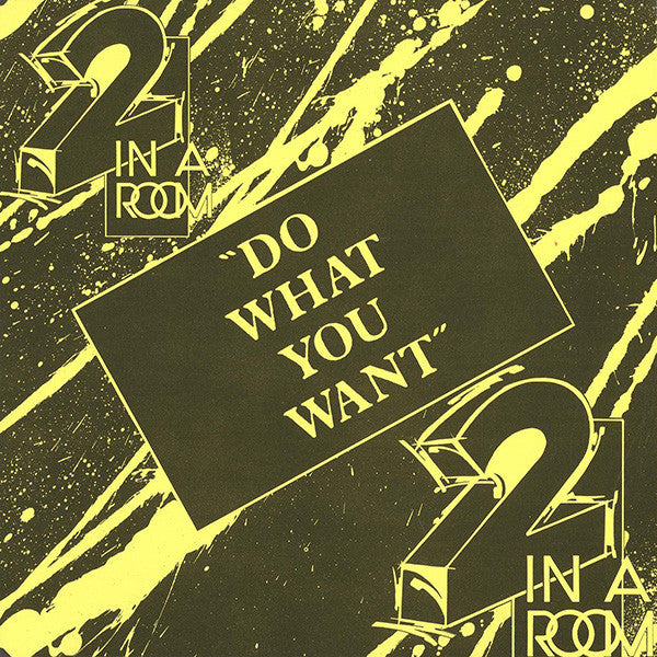 2 In A Room : Do What You Want (CD, Maxi)