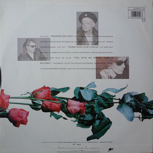 Dead Or Alive : Hooked On Love (12", Single)