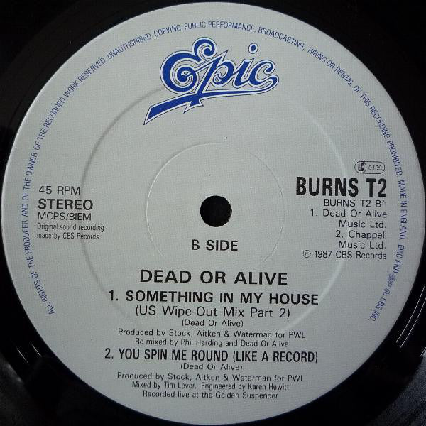 Dead Or Alive : Hooked On Love (12", Single)