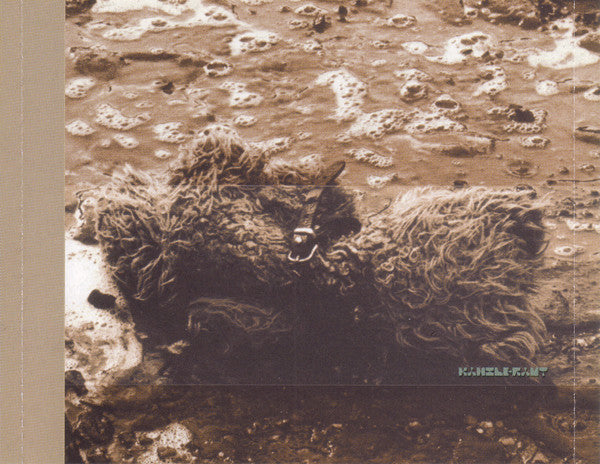 Psi Performer : Art Is A Division Of Pain (CD, Album)