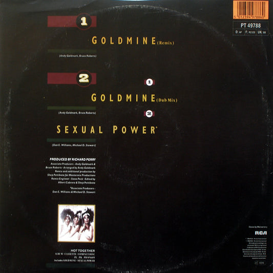 Pointer Sisters : Goldmine (12", Single)