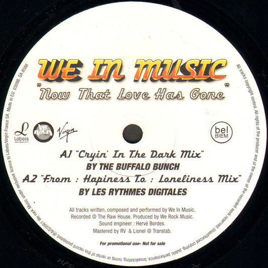 We In Music : Now That Love Has Gone (12", Promo)