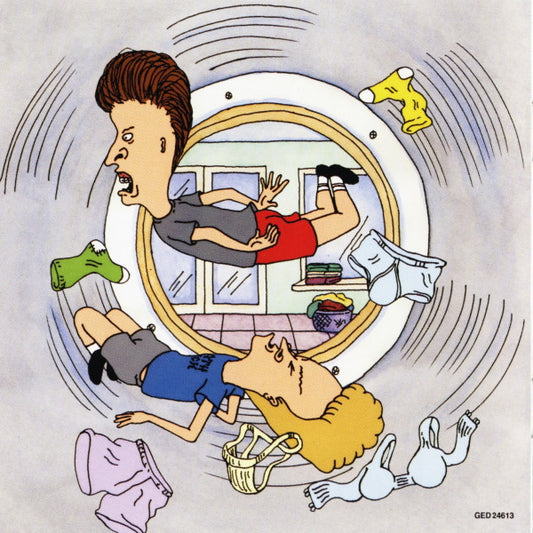 Various : The Beavis And Butt-Head Experience (CD, Album, Comp)