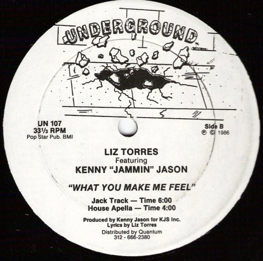 Liz Torres Featuring Kenny "Jammin" Jason : What You Make Me Feel (12")