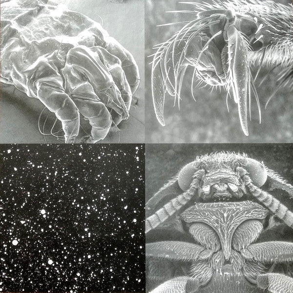 Tad : Infrared Riding Hood (LP, Album, Ltd, Num, RE, Blu)