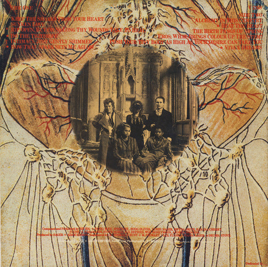 Rip Rig & Panic : Attitude (LP, Album)