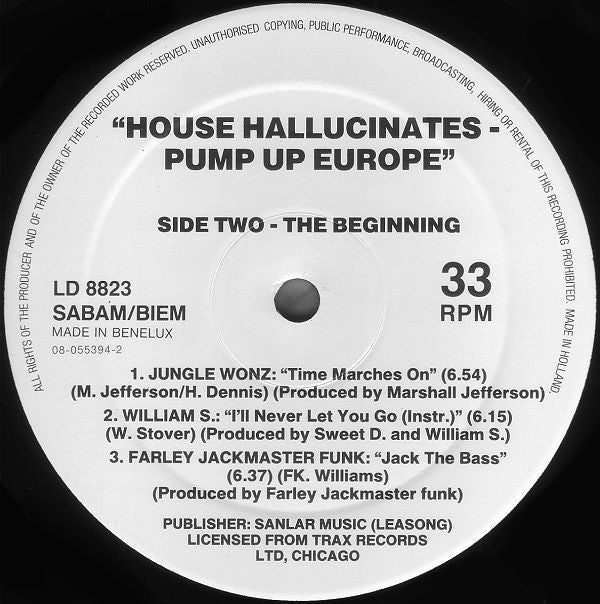 Various : House Hallucinates - Pump Up Europe (2xLP, Comp)