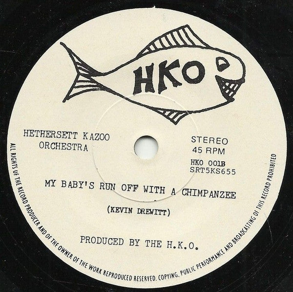 The Hethersett Kazoo Orchestra : God Threw A Party (7", Single)