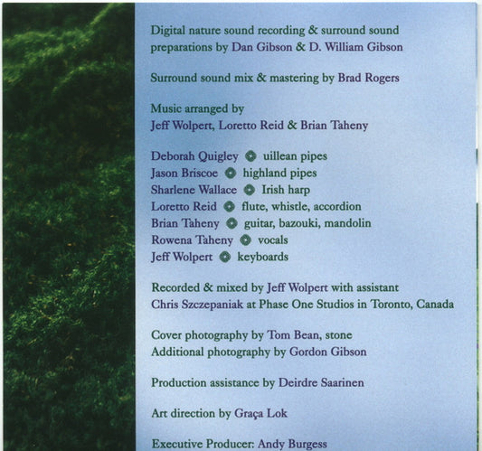 Jeff Wolpert, Loretto Reid & Brian Taheny, Dan Gibson : Echoes In The Glen (Celtic Aires & Ballads) (CD, Album, Enh, Multichannel)