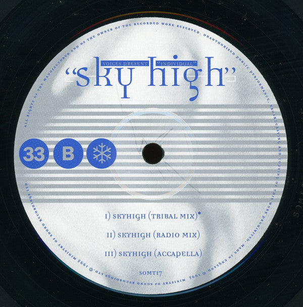 Voices (11) Present Individual : Sky High (12")