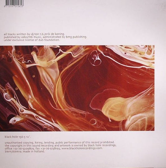 DJ Ton T.B. : Silent Witness / Rebirth (12")