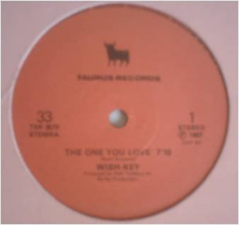 Wish Key : The One You Love (12")