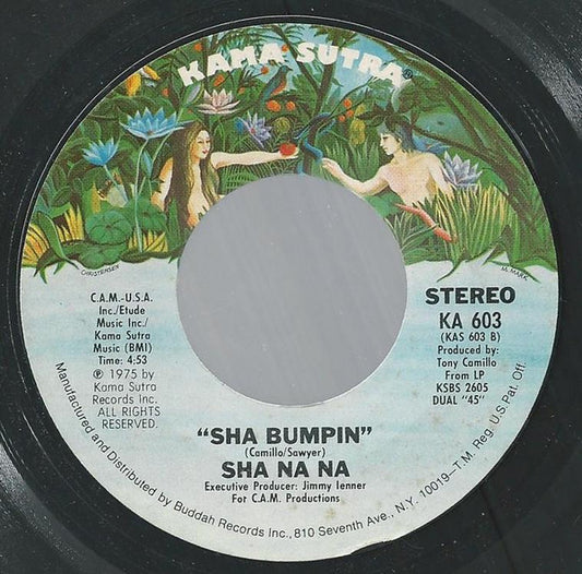 Sha Na Na : You're The Only Light On My Horizon Now (7", Single, Pit)