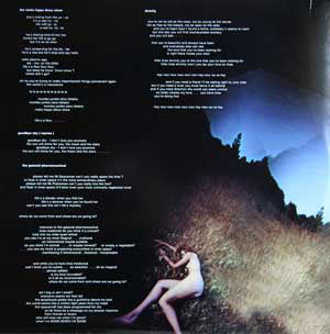 Amorphous Androgynous : The Isness (2xLP, Album)