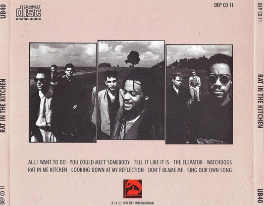 UB40 : Rat In The Kitchen (CD, Album)