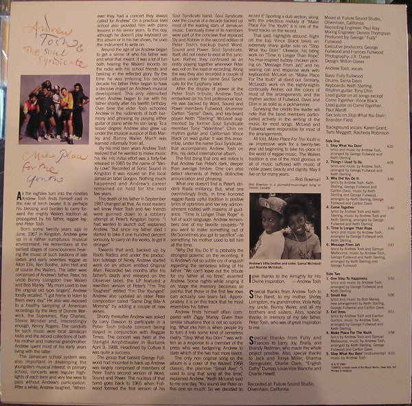 Andrew Tosh : Make Place For The Youth (LP, Album)