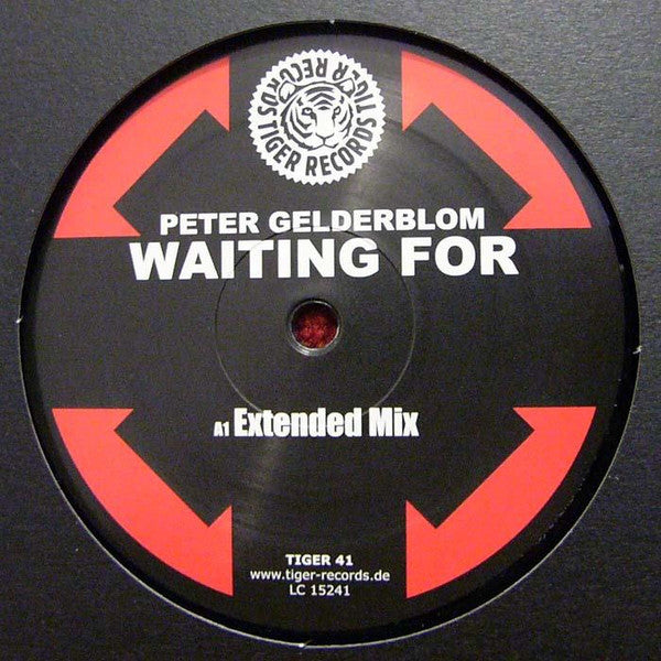 Peter Gelderblom : Waiting For (12")