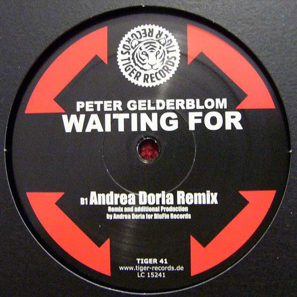 Peter Gelderblom : Waiting For (12")