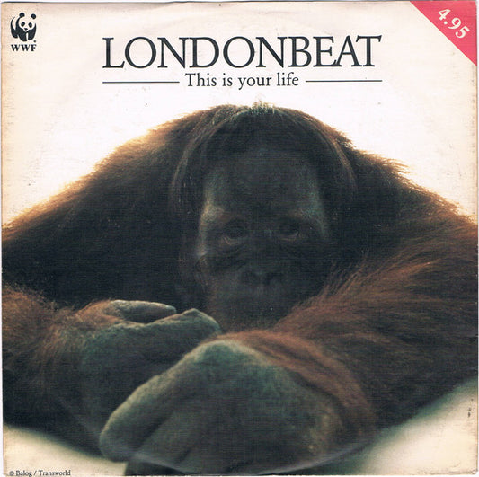 Londonbeat : This Is Your Life (7")
