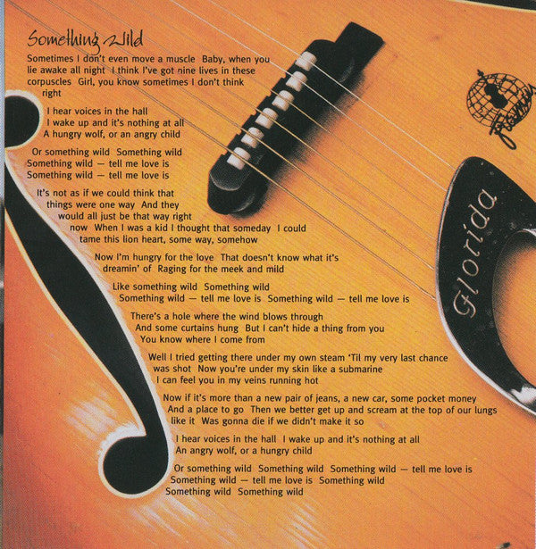 John Hiatt : Perfectly Good Guitar (CD, Album)