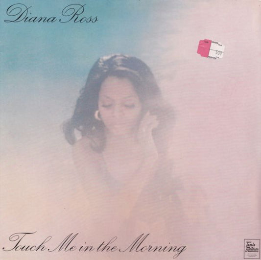 Diana Ross : Touch Me In The Morning (LP, Album, RE)