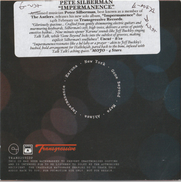 Peter Silberman : Impermanence (CDr, Album, Copy Prot., Promo)