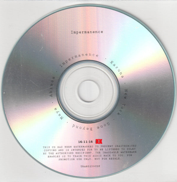 Peter Silberman : Impermanence (CDr, Album, Copy Prot., Promo)
