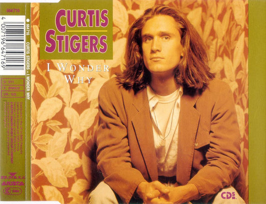 Curtis Stigers : I Wonder Why (CD, Maxi)