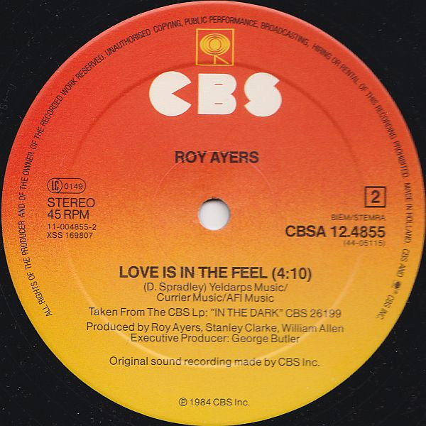 Roy Ayers : In The Dark (Dance Mix) (12", Maxi)