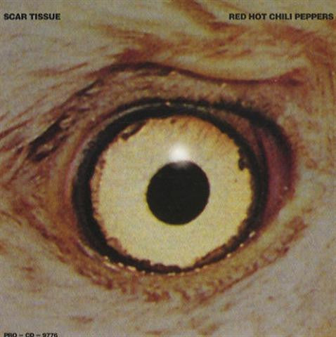 Red Hot Chili Peppers : Scar Tissue (CD, Single, Car)