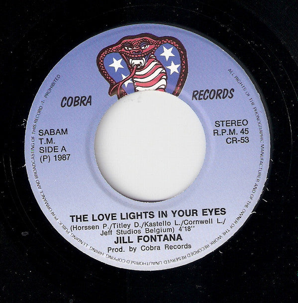 Jill Fontana : The Love Lights In Your Eyes (7", Single)