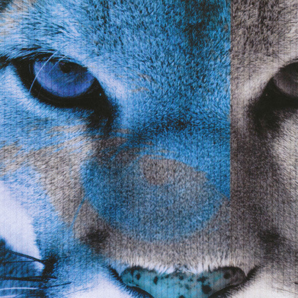 Various : Forbidden Paradise - Face The Wild  (2xCD, Comp, Mixed)