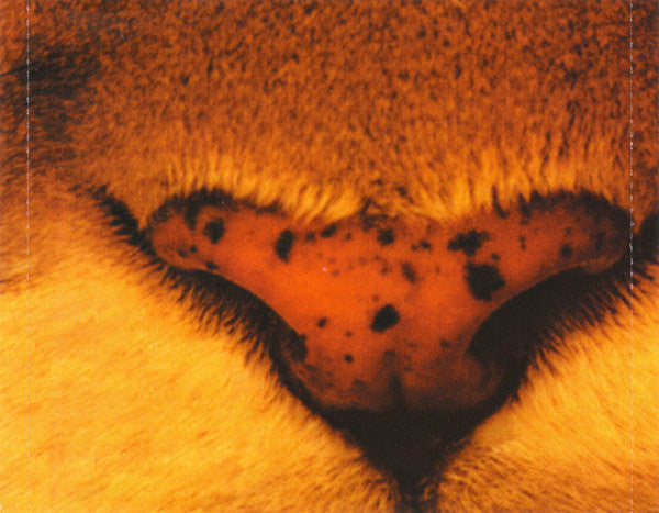 Various : Forbidden Paradise - Face The Wild  (2xCD, Comp, Mixed)