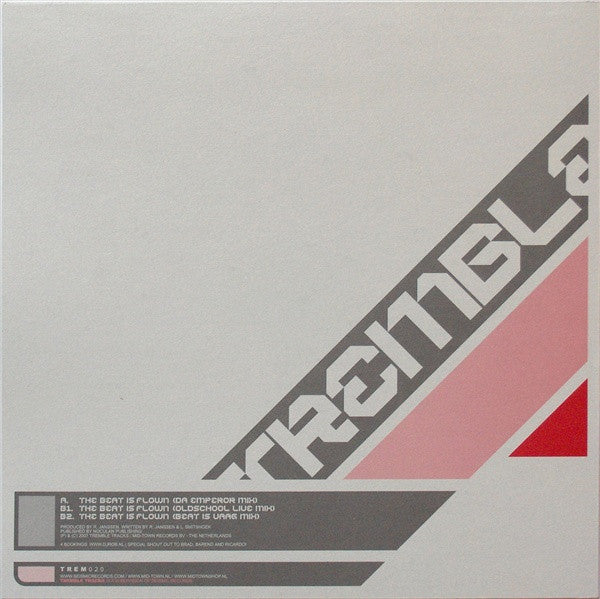 DJ Rob & MC Joe : The Beat Is Flown 2007 (12")