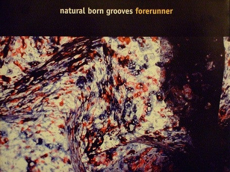 Natural Born Grooves : Forerunner (CD, Single)