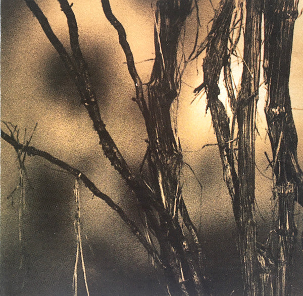 Ismaël Lô : Jammu Africa (CD, Comp)