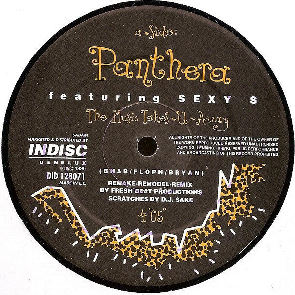 Panthera (2) Featuring Sexy S : Music Takes You Away (Remake-Remodel-Remix) (12")