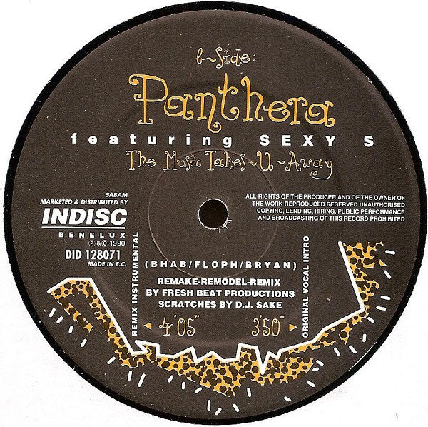 Panthera (2) Featuring Sexy S : Music Takes You Away (Remake-Remodel-Remix) (12")