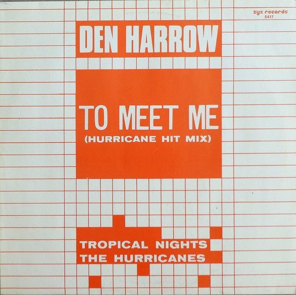 Den Harrow / The Hurricanes : To Meet Me (Hurricane Hit Mix) / Tropical Nights (12", Maxi)