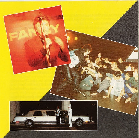 Fancy : Gold (CD, Comp)