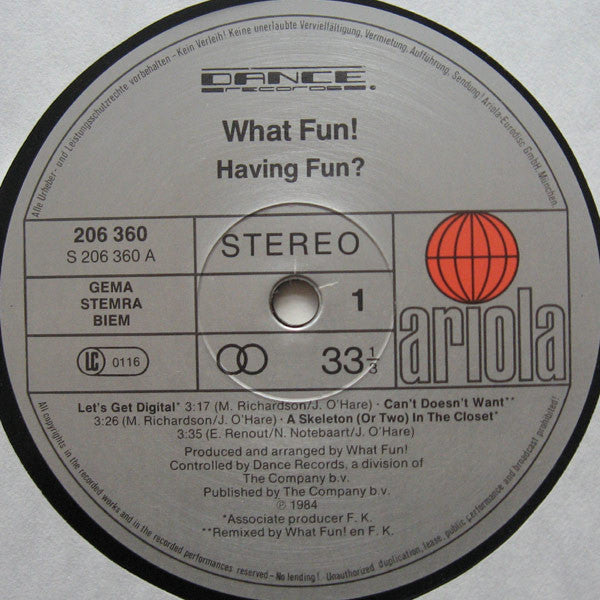 What Fun! : Having Fun? (LP, MiniAlbum)
