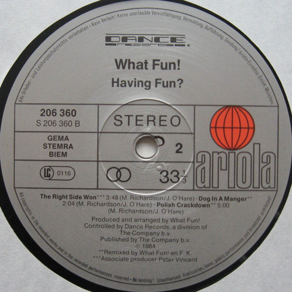 What Fun! : Having Fun? (LP, MiniAlbum)