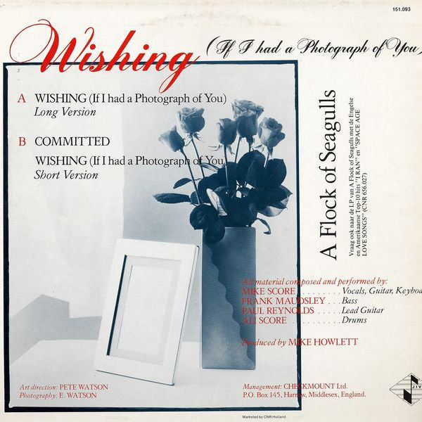 A Flock Of Seagulls : Wishing (If I Had A Photograph Of You) (12", Maxi)