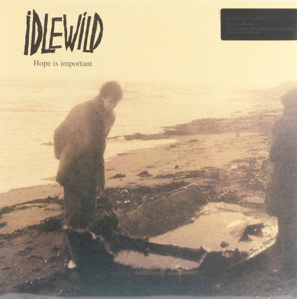Idlewild : Hope Is Important (LP, Album, RE)