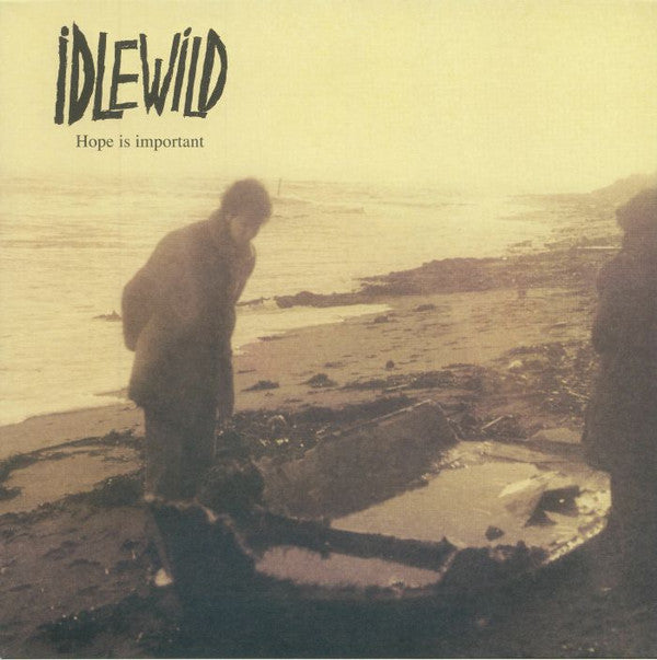 Idlewild : Hope Is Important (LP, Album, RE)