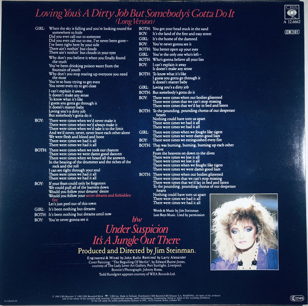 Bonnie Tyler Duet With Todd Rundgren : Loving You's A Dirty Job But Somebody's Gotta Do It (12", Maxi)