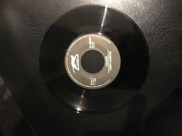 Terry Gordon (2) : Falling (7")